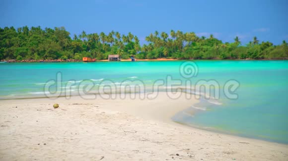 自然景观在晴朗的日子里在蔚蓝的海水和蓝天上观赏棕榈树的热带沙滩视频的预览图