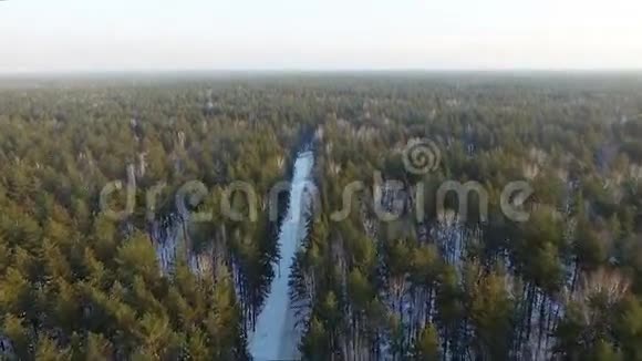 飞过林道冬天视频的预览图