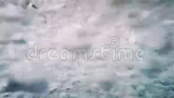 大量空气气泡水下背景视频的预览图