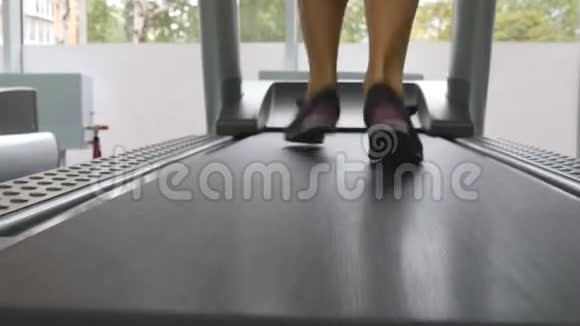 女腿在健身房跑步机上跑步年轻女性在有氧运动中锻炼穿运动鞋的女孩脚视频的预览图