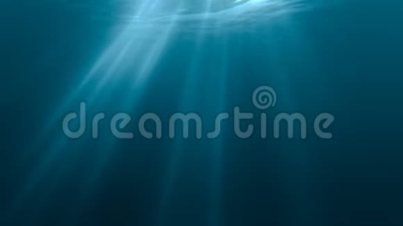 阳光透过海面照射从水下看3D渲染无缝循环动画视频的预览图