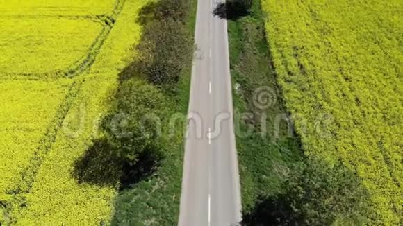 在黄色的田野道路鸟瞰图视频的预览图