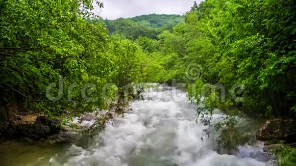 清新的绿色森林中快速的山河流动视频的预览图