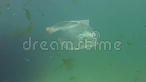 海里的聚乙烯袋塑料垃圾污染视频的预览图
