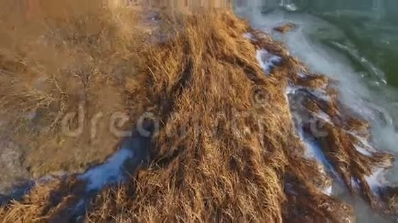 冬天的黄苇和冻河视频的预览图