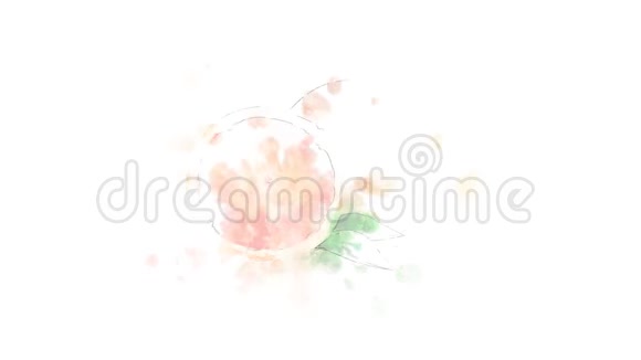葡萄柚透明的背景视频的预览图
