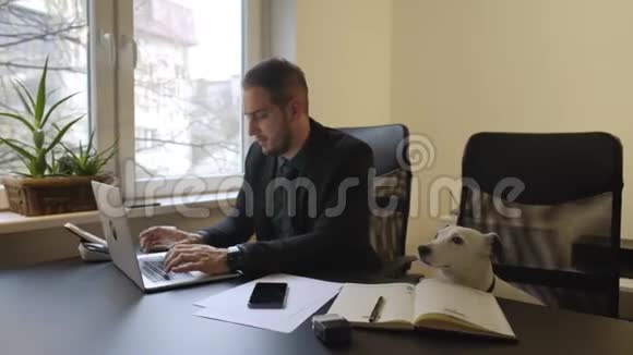 快乐的商人在办公室工作坐在狗旁边戴着领带视频的预览图