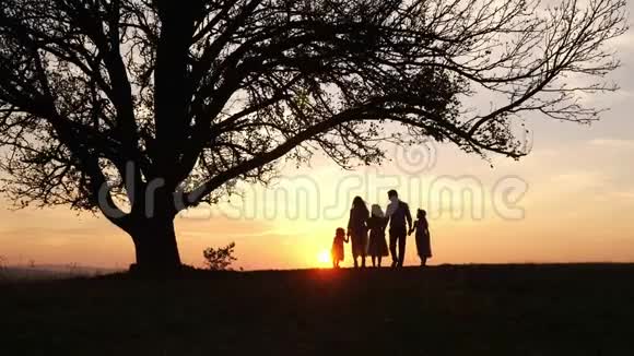 日落时幸福的家庭在一棵大树附近的草地上散步的剪影视频的预览图