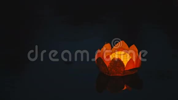 一个花形的彩纸灯笼漂浮在水面上视频的预览图