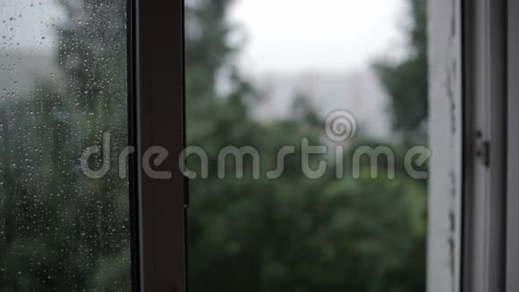 下大雨集中注意力从窗户拉到大楼视频的预览图