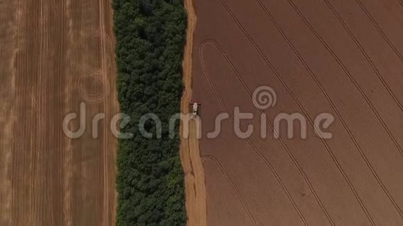 收割机打粒小麦天线视频的预览图