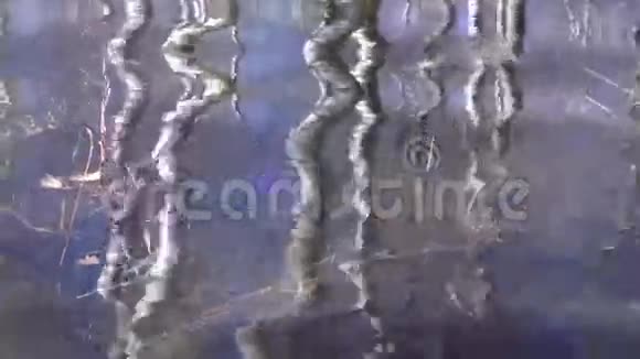 春湖水模糊自然背景白桦树倒影视频的预览图