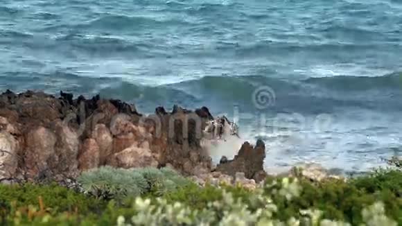 卡约吉列尔莫岛冲浪大西洋视频的预览图