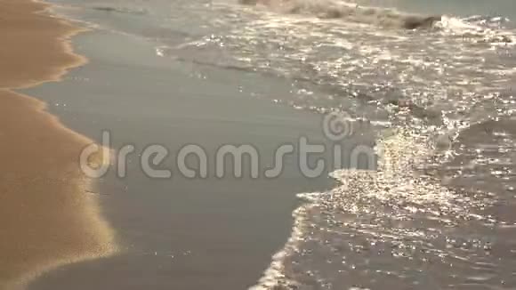 岸上的水沙和小浪视频的预览图