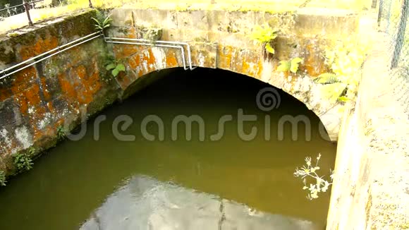小河的水流入小石洞或桥有阴影和倒影的绿色泥泞的水视频的预览图