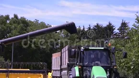 农机收割小麦视频的预览图