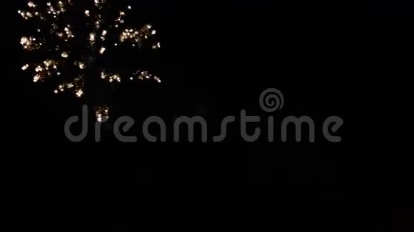 河上的烟火新年庆典视频的预览图