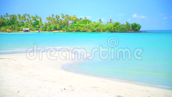 自然景观在晴朗的日子里在蔚蓝的海水和蓝天上观赏棕榈树的热带沙滩视频的预览图