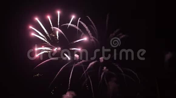 河上的烟火新年庆典视频的预览图