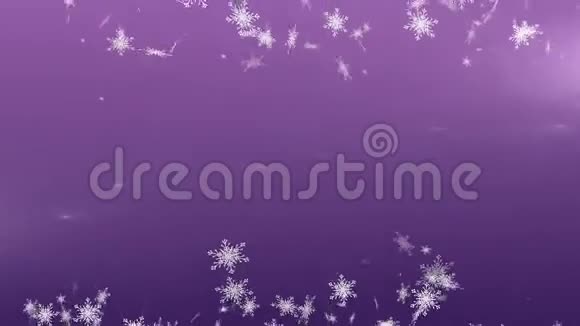 雪花落在紫罗兰色的背景下视频的预览图