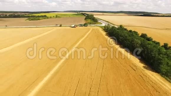 联合收割机的鸟瞰图集锦4k小麦作物视频的预览图