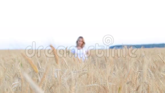女人在麦田里行走触摸麦穗视频的预览图