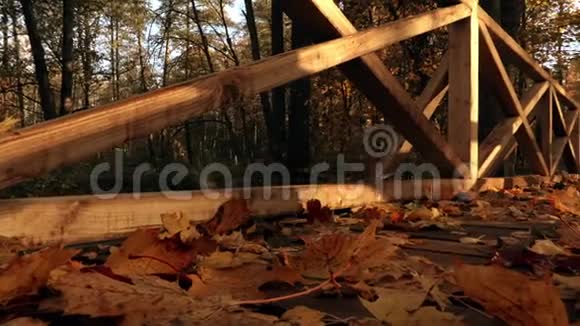 秋天的木桥伴着阳光视频的预览图