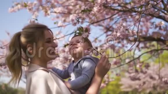 年轻的妈妈抱着她的小儿子在樱花盛开的樱花树下飘落的粉红色花瓣和视频的预览图