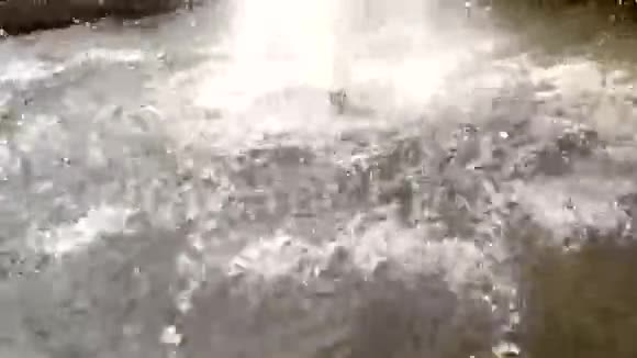 在喷泉中落下水面上荡起涟漪视频的预览图