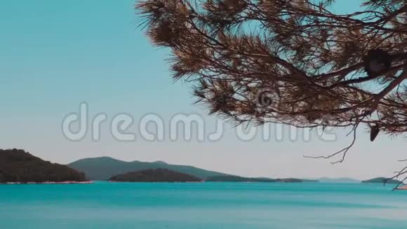 群岛后面的树静态拍摄蒂斯诺克罗地亚视频的预览图
