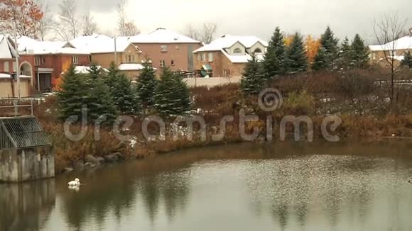 城市公园的老池塘景观视频的预览图
