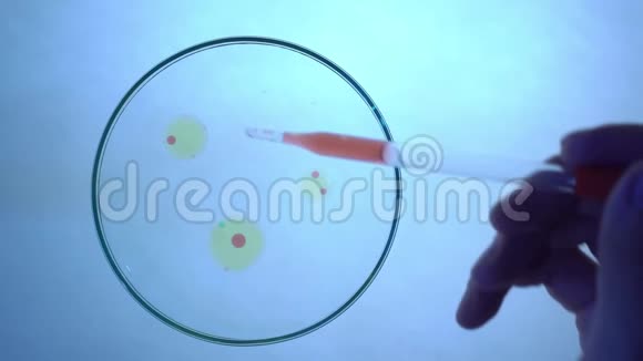 化学实验室细菌培养皿视频的预览图