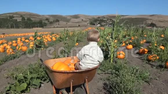有南瓜的男孩坐在农场的手推车里视频的预览图