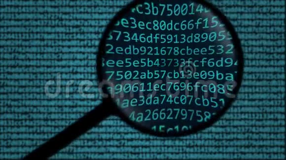 卢佩在电脑屏幕上发现了密码学加密相关搜索概念动画视频的预览图