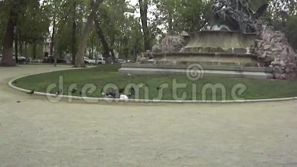 智利圣地亚哥喷泉视频的预览图