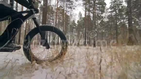 职业极限运动员骑自行车在户外坐一辆胖自行车骑自行车者在冬天的雪林中退缩与人同行视频的预览图