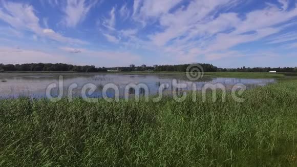 夏天拉脱维亚湖附近的乡村小船视频的预览图