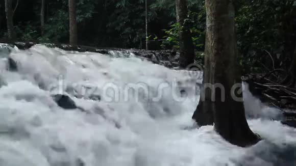 国家公园的森林瀑布和中间的树木靠近视频的预览图