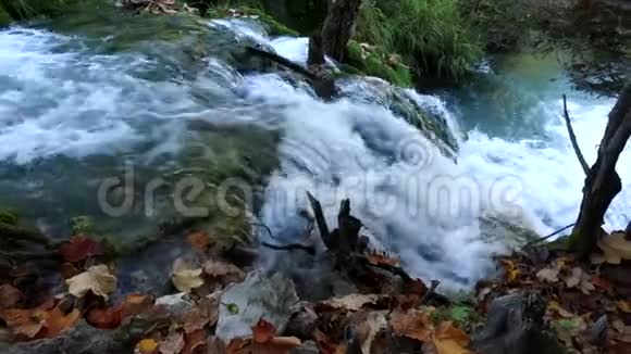 Plitvice湖国家公园克罗地亚视频的预览图