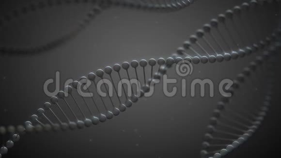 灰色DNA1080p螺旋DNA视频背景循环视频的预览图