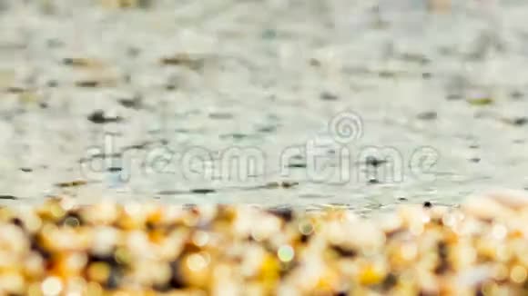 波浪在海滩上飞溅特写镜头视频的预览图