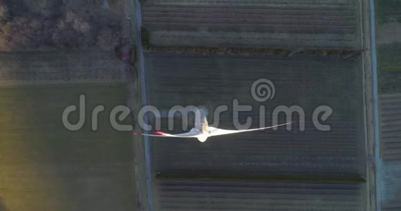 蒙丹山谷的风力涡轮机视频的预览图