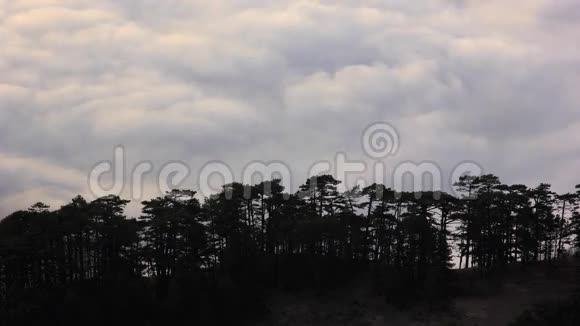 日出时在森林下的海面上的云视频的预览图