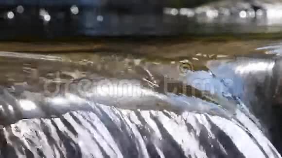 小溪清水溪小裂谷视频的预览图