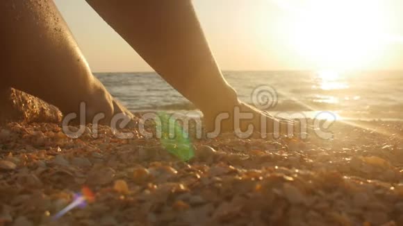 海滩上的贝壳在手里夏日海滩概念视频的预览图