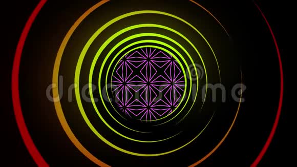 黑色背景上的彩色螺旋线动画抽象催眠线在黑色空间中发光和旋转明线视频的预览图
