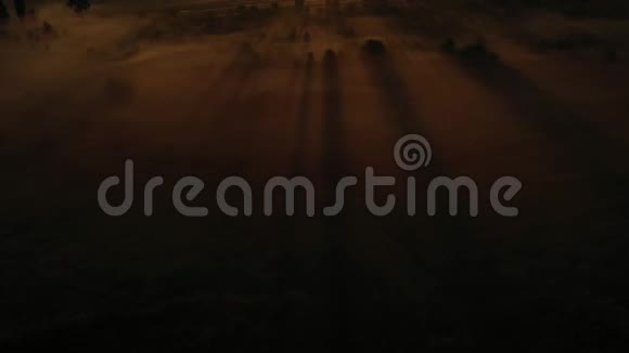 4在雾中飞越早晨的夏日草地美丽的夏日景观高品质视频的预览图