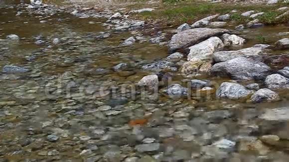 清澈的水流流过岩石视频的预览图