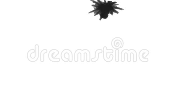 黑色墨水在白色背景上溶解在水中用Luma哑光3d渲染V14视频的预览图