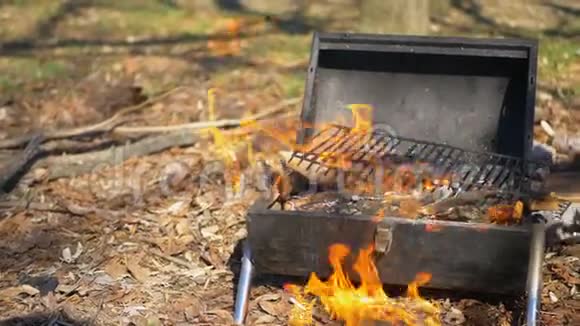野餐时森林里着火了视频的预览图